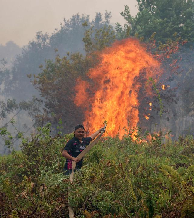 Ein Feuerwehrmann löscht am 16. Oktober 2026 einen Brand im Dorf Sungai Tabuk im Regierungsbezirk Banjar in der Provinz Südkalimantan. 