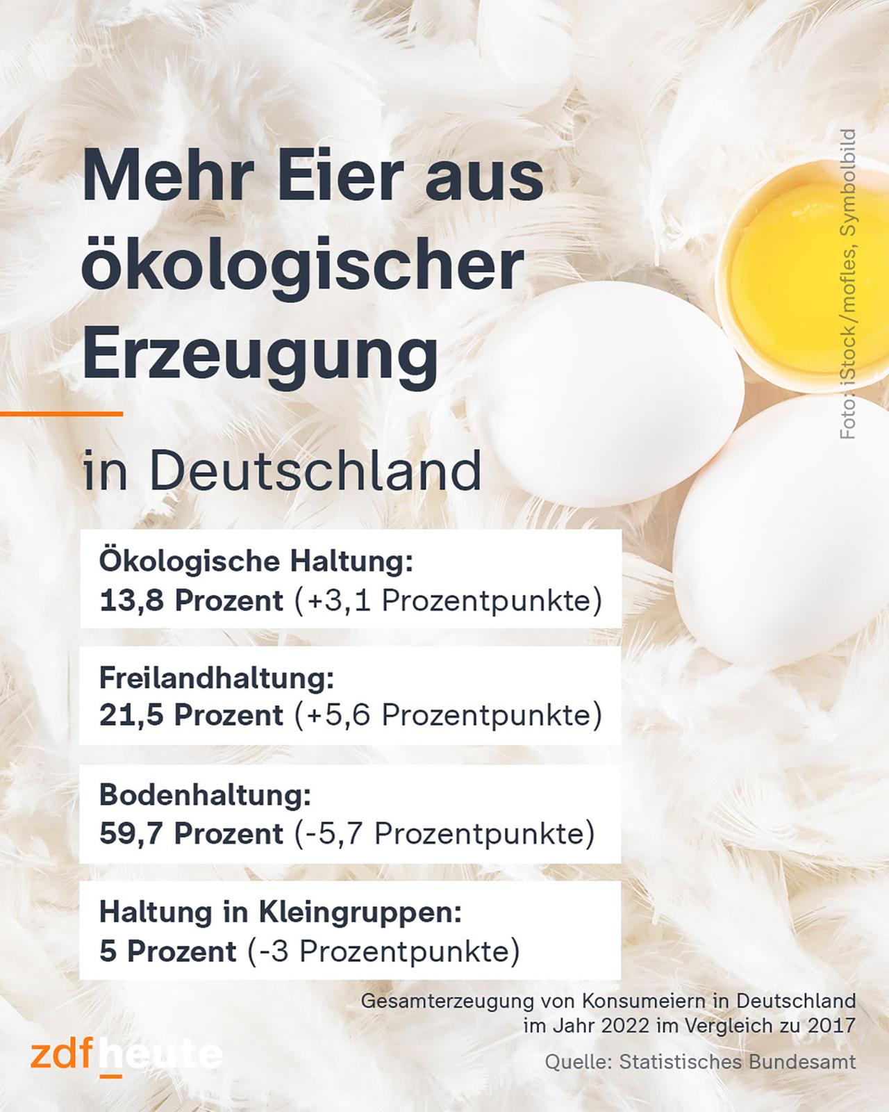 Infografik: Mehr Eier aus ökologischer Erzeugung