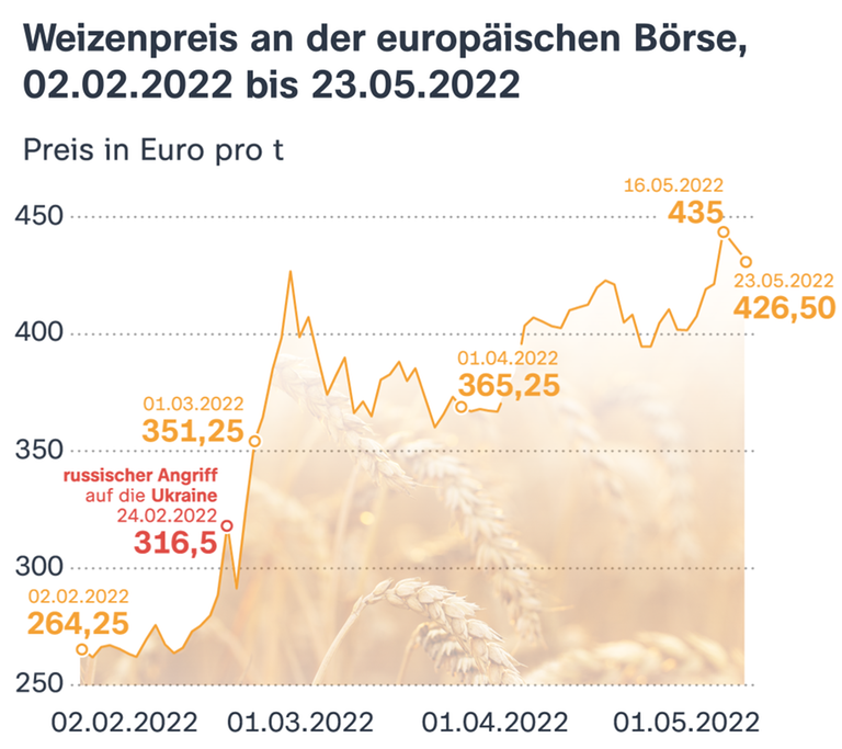 Bild: Übersicht der Preisentwicklung für eine Tonne Weizen an der europäischen Börse vom 2. Februar 2022 bis zum 23. Mai. Anfang Februar kostete die Tonne Weizen noch 264,25 Euro - aktuell liegt der Preis bei 426,50 Euro.