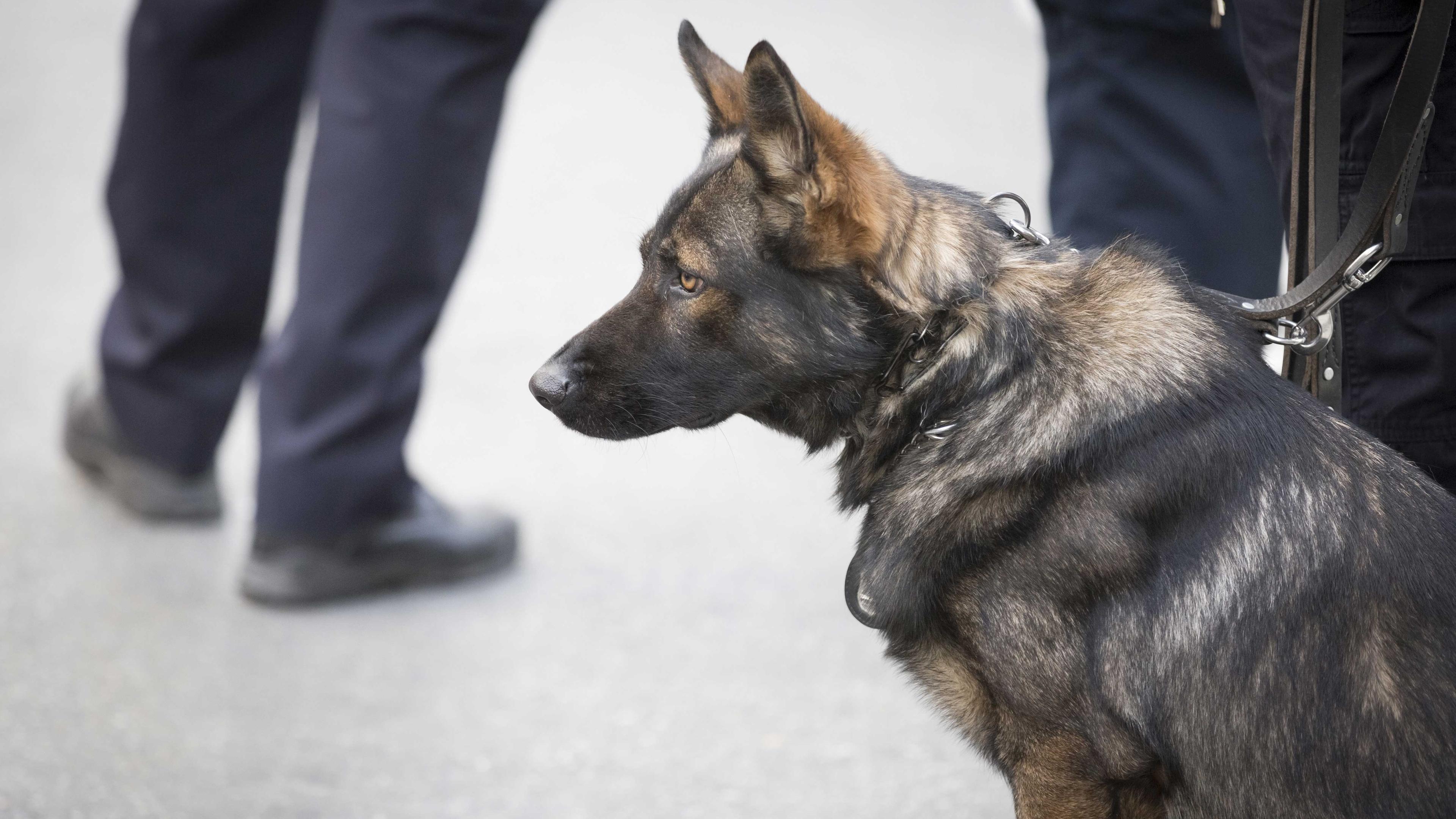 Die Innere Unsicherheit Wenn Burger Streife Gehen Zdfmediathek