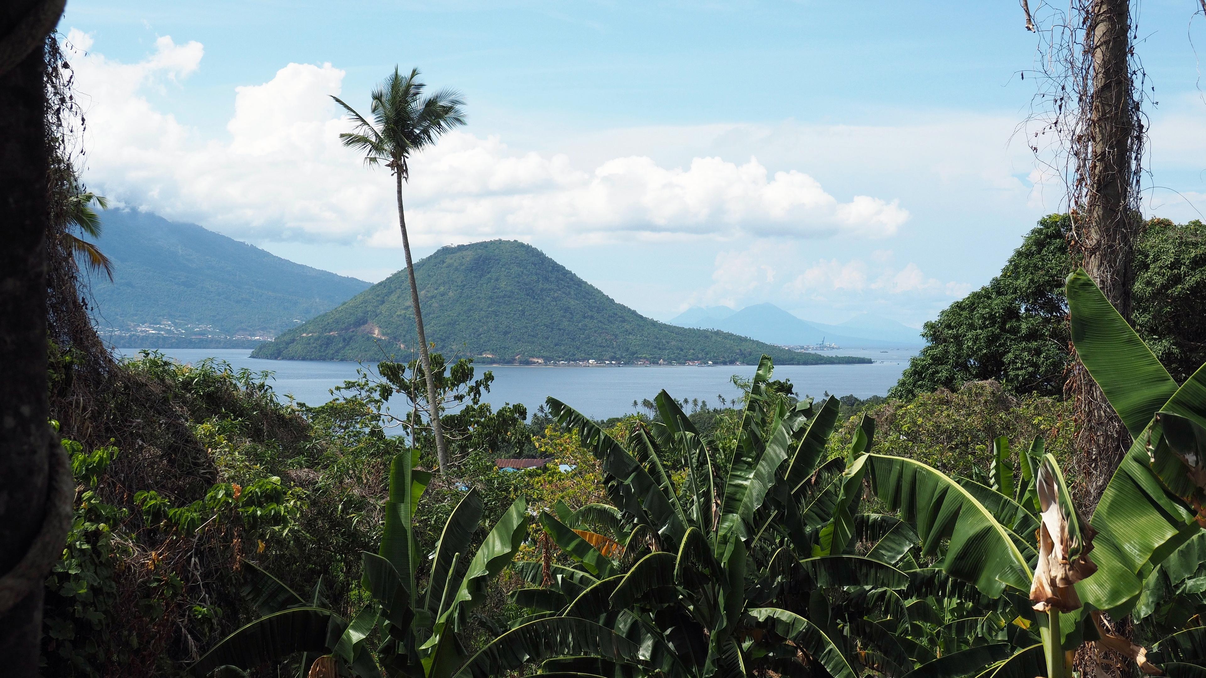 Blick auf grüne Inseln mit Plamen.