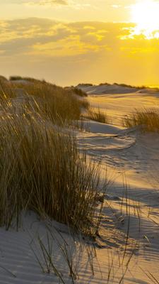 Inselträume - Die Ostfriesischen Inseln