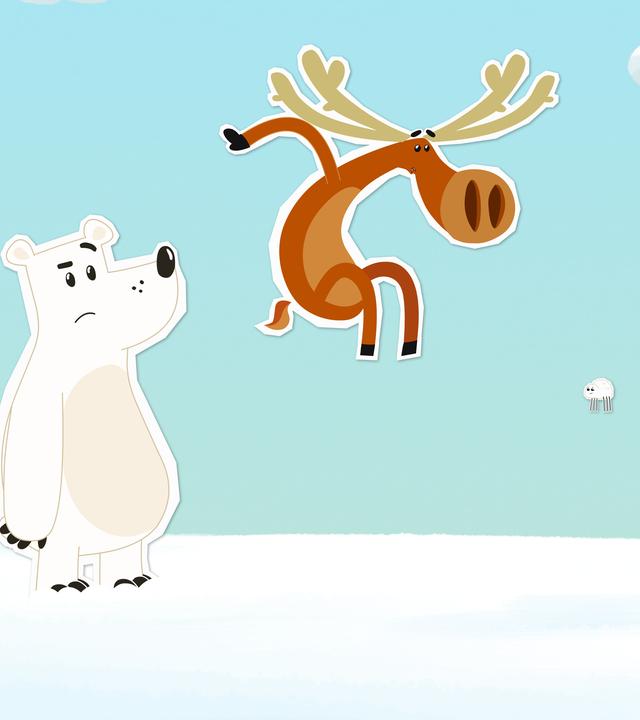 Eine kleine arktische Spinne stellt alles auf den Kopf.