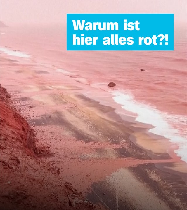 Rote Erde Iran: Sendung vom 19. Dezember 2025