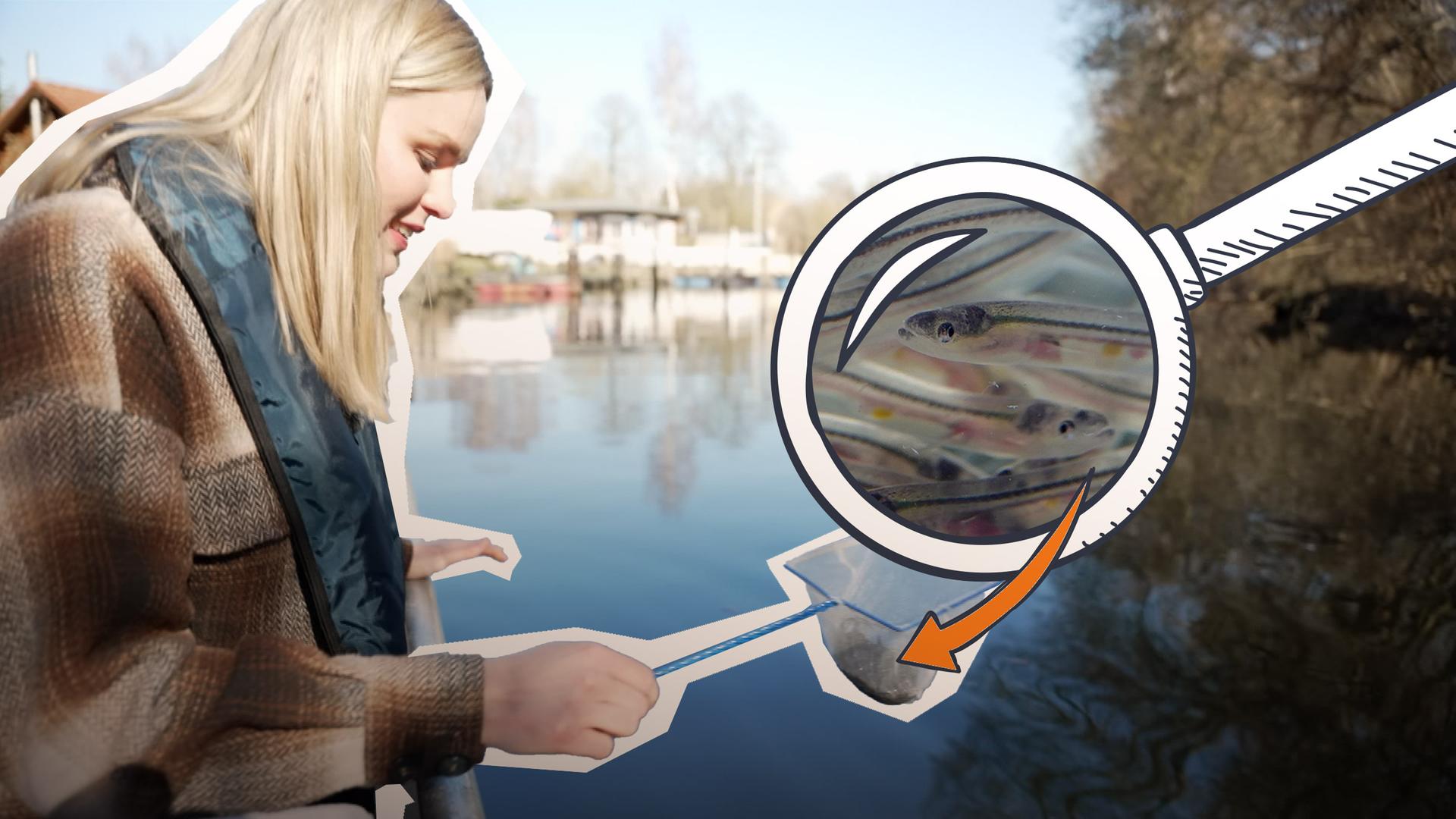 Isabelle bei den Aalen