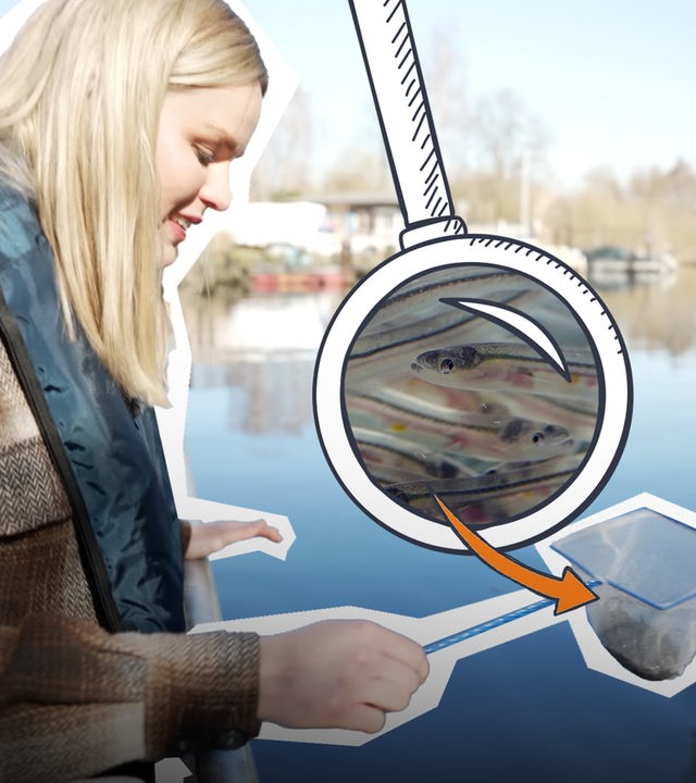 Isabelle bei den Aalen