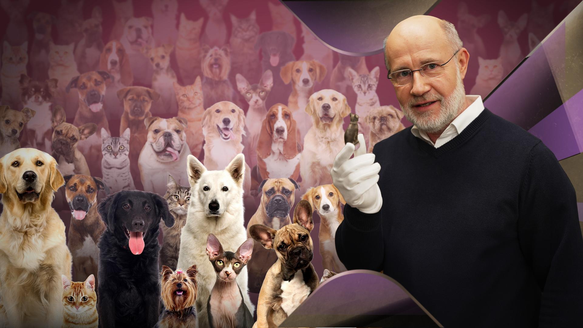 Harald Lesch inmitten von Hunden und Katzen