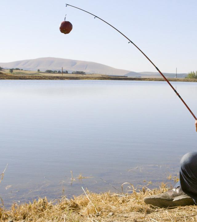 Mysterien des Weltalls: Ist Schwerkraft eine Täuschung? Physikerin Nergis Mavalvala erklärt die Gravitationstheorie.