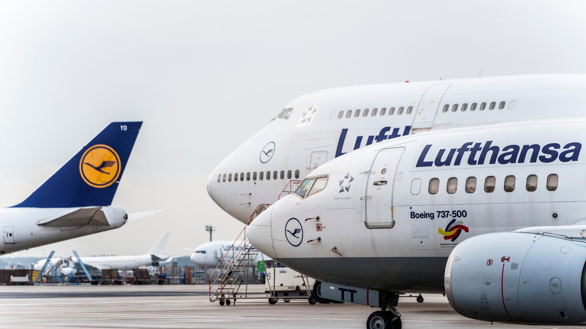 Hessen, Frankfurt/Main: Lufthansa-Maschinen stehen auf dem Vorfeld.