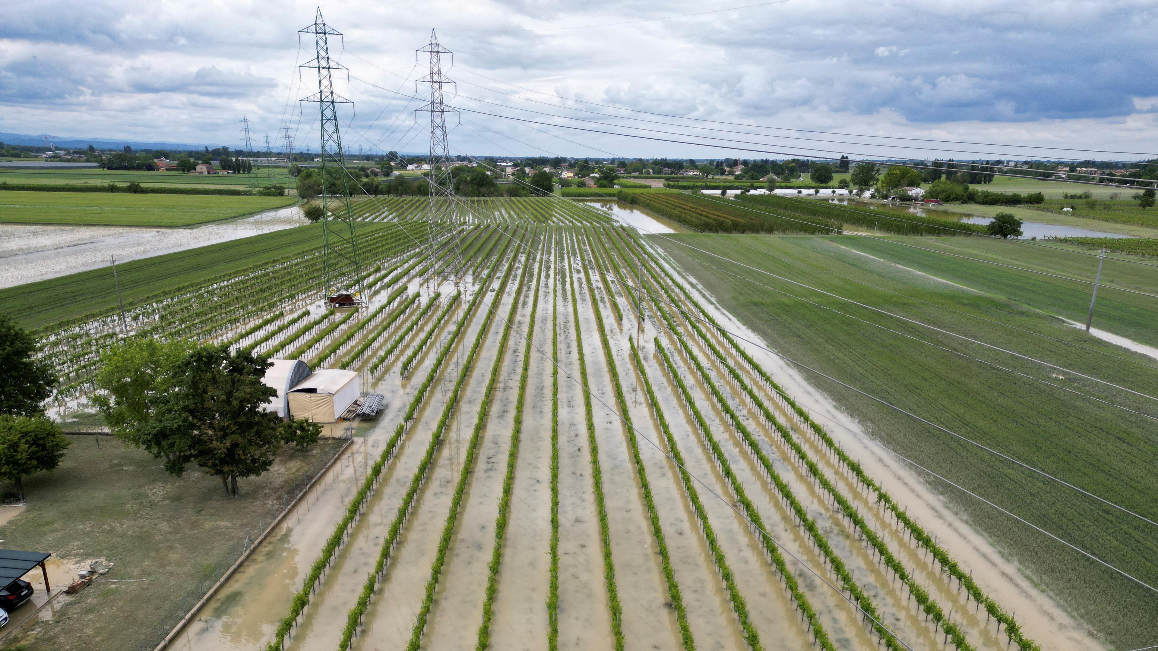 Eine Drohnenaufnahme von einem überfluteten Weinberg in der italienischen Region Emilia Romagna