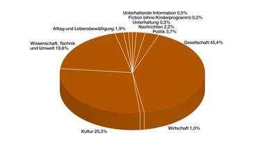 Jahrbuch 2019 / Programm in Zahl und Grafik: Anteil Programmkategorien in Prozent PHOENIX