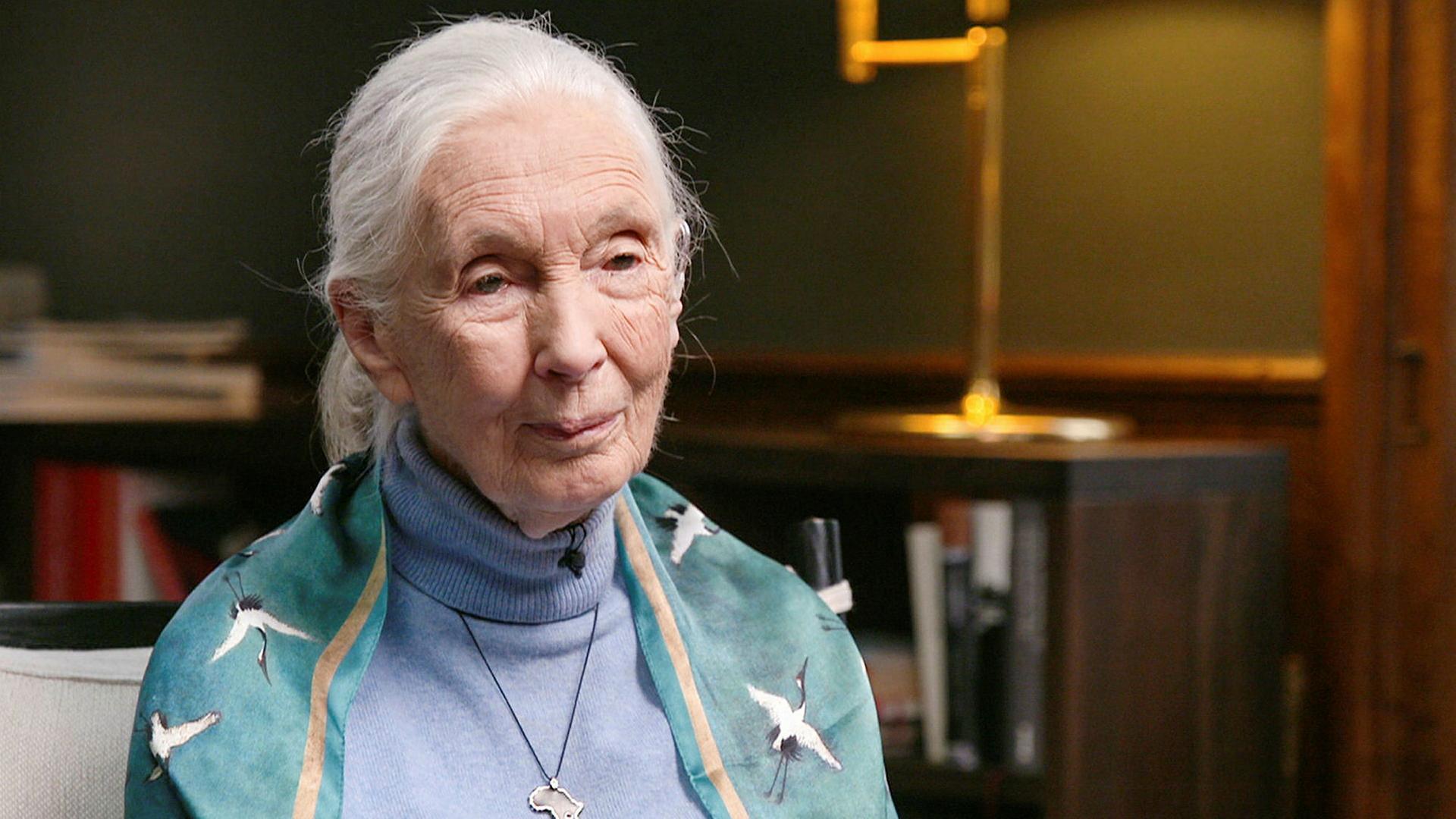 Jane Goodall, Verhaltensforscherin, bekannt für ihre Arbeit mit Schimpansen 