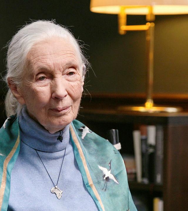 Jane Goodall, Verhaltensforscherin, bekannt für ihre Arbeit mit Schimpansen 