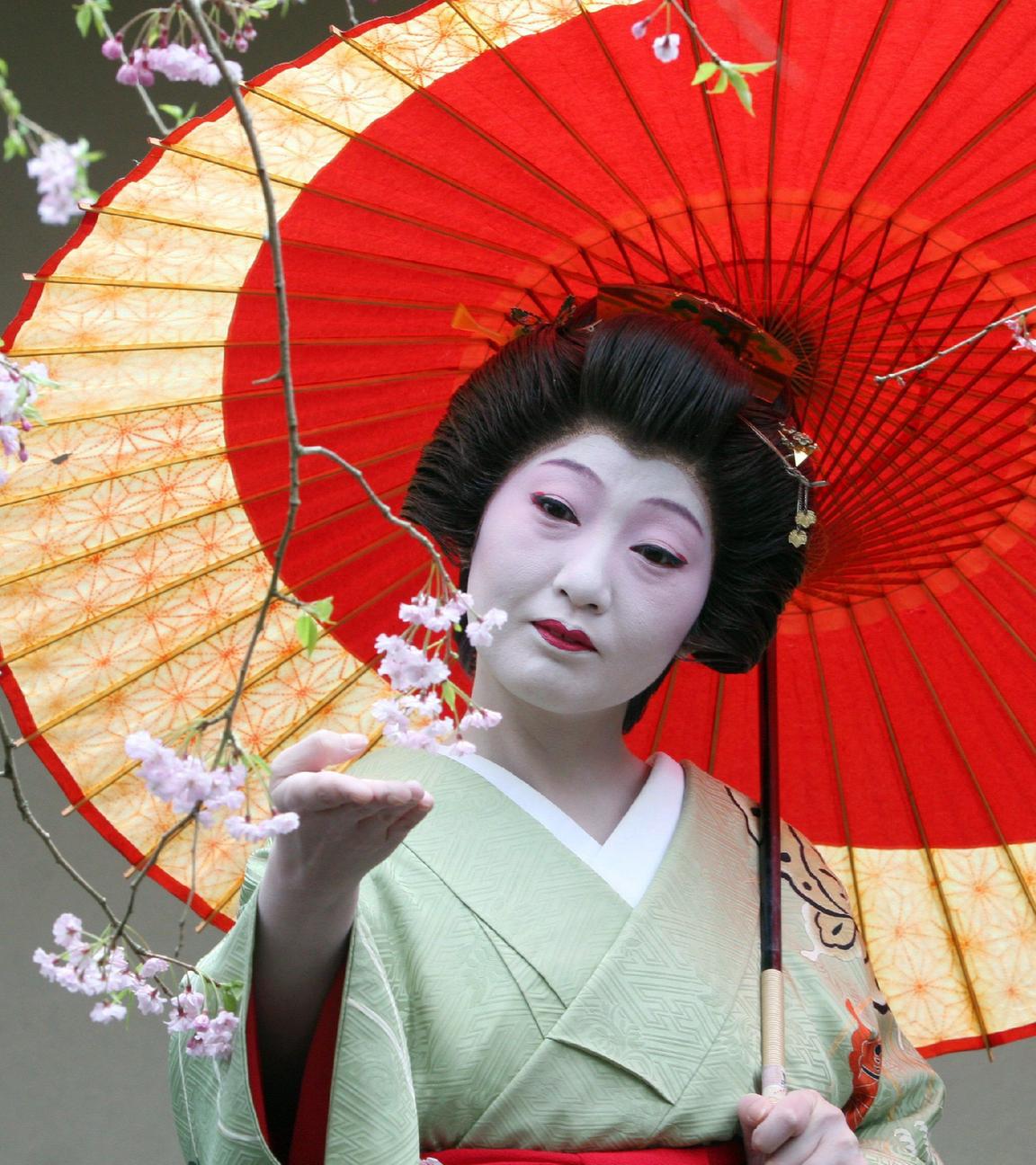 Eine japanische Geisha betrachtet den Ast eines japanischen Kirschbaums. Sie hält einen dekorativen, roten Regenschirm.