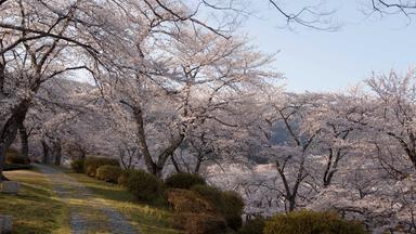 Zdfinfo - Japan Im Licht Der Jahreszeiten: Frühling Und Sommer