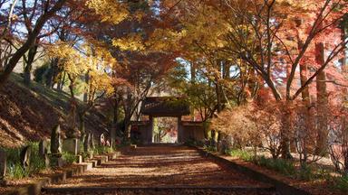 Zdfinfo - Japan Im Licht Der Jahreszeiten: Herbst Und Winter