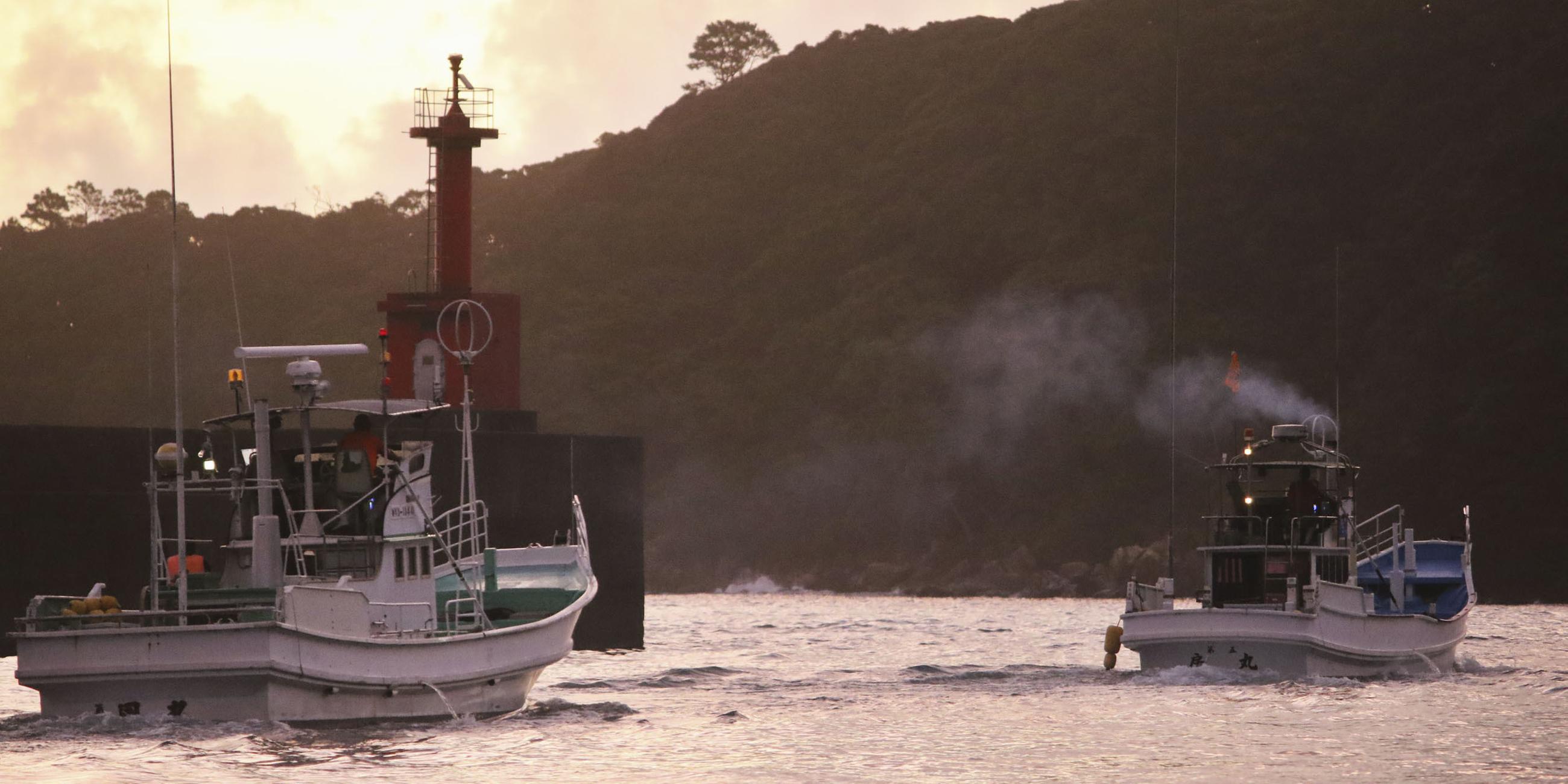 Fischerboote verlassen einen Hafen in der westjapanischen Präfektur Wakayama für die erste Treibjagd der Saison auf Delfine und Kleinwale.