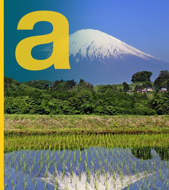 Mount Fuji spiegelt sich in einem Reisfeld