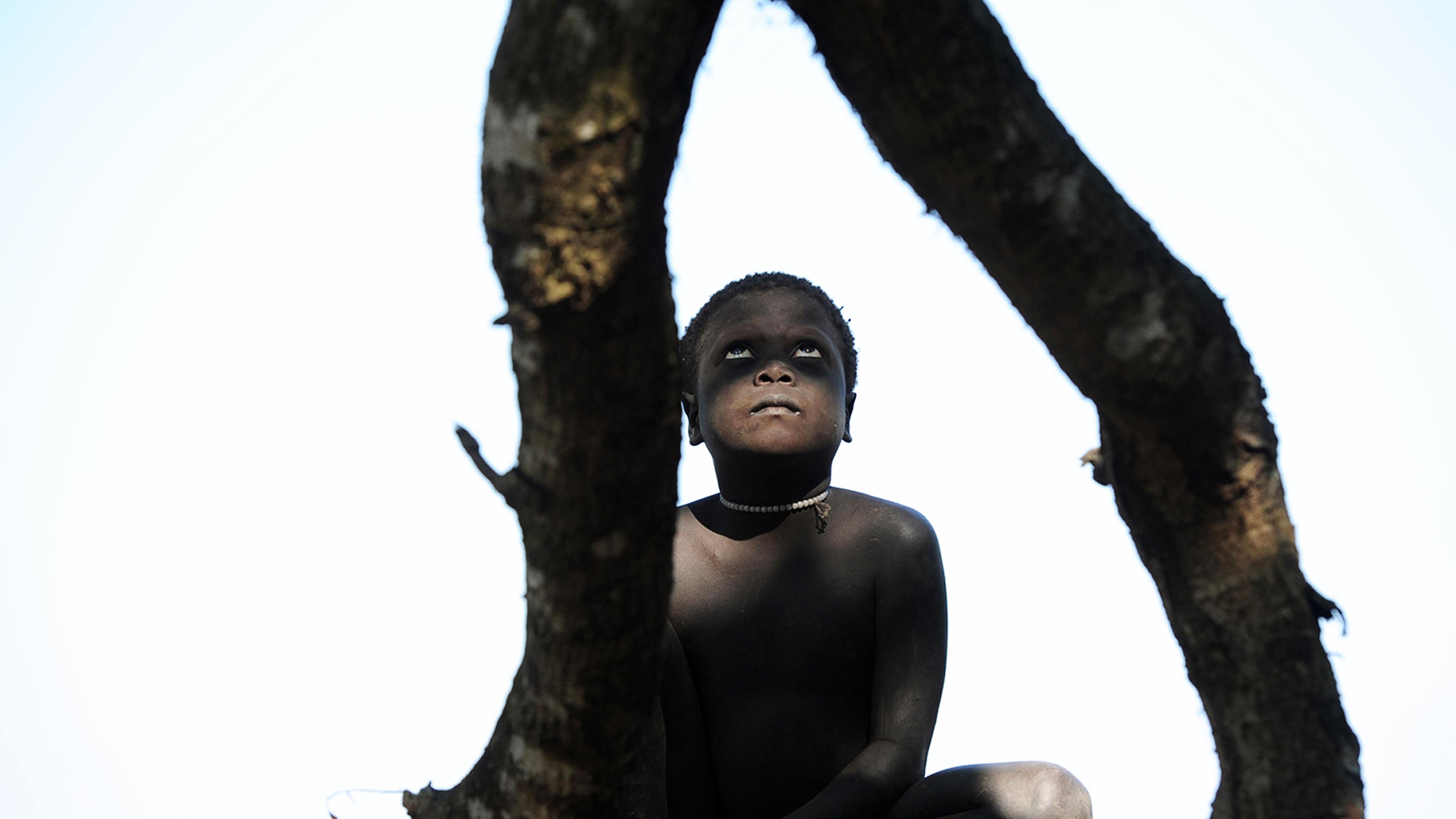 Andamanen-Archipel, Indien: Ein Jarawa-Junge sitzt auf zwei dicken Ästen eines Baumes.
