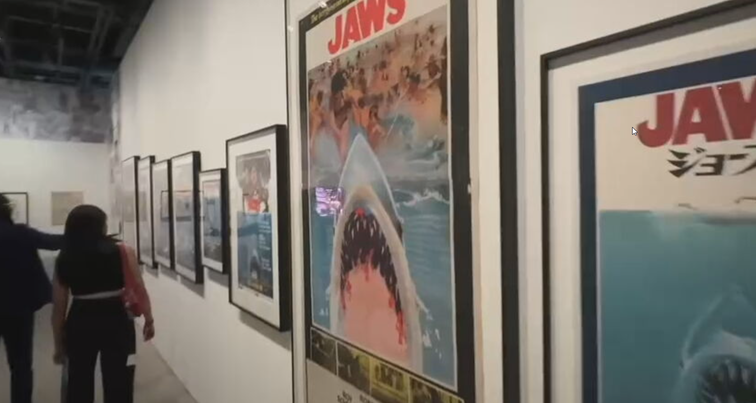 50 Jahre weißer Hai: Ausstellung mit Biss