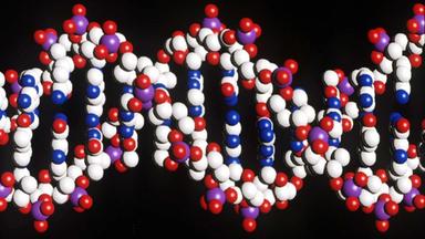 Zdfinfo - Das Geheimnis Der Gene: Wohin Wir Gehen