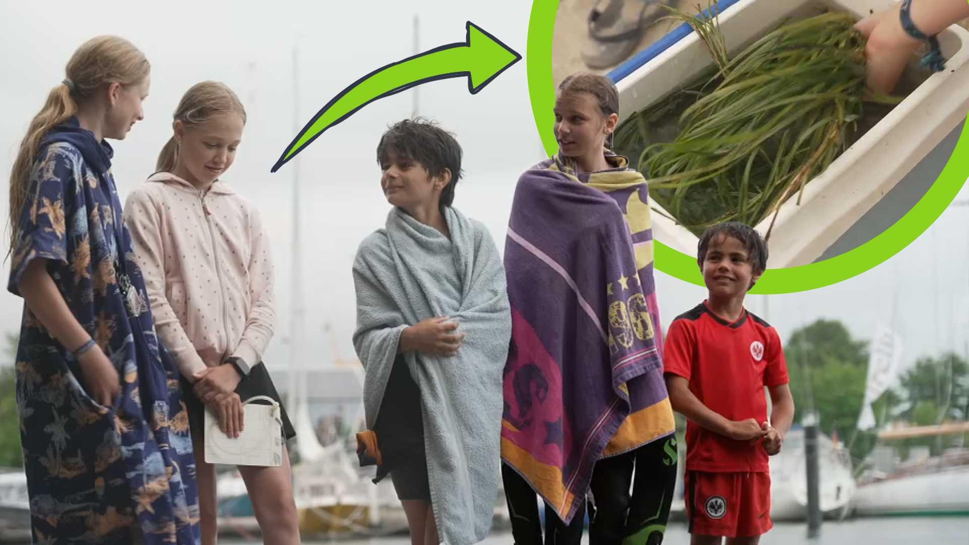 Jugendliche stehen auf einem Bootssteg und schauen sich an, hinter ihnen ist ein Bildausschnitt zu sehen auf dem Seegras in einer Kühltruhe liegt, darüber ein grüner Pfeil der auf den Ausschnitt zeigt