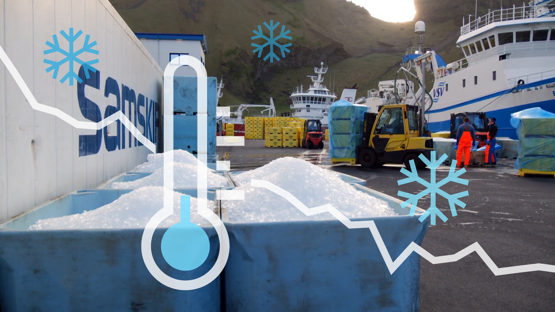 Kälte, Kühlung, Klimaschutz