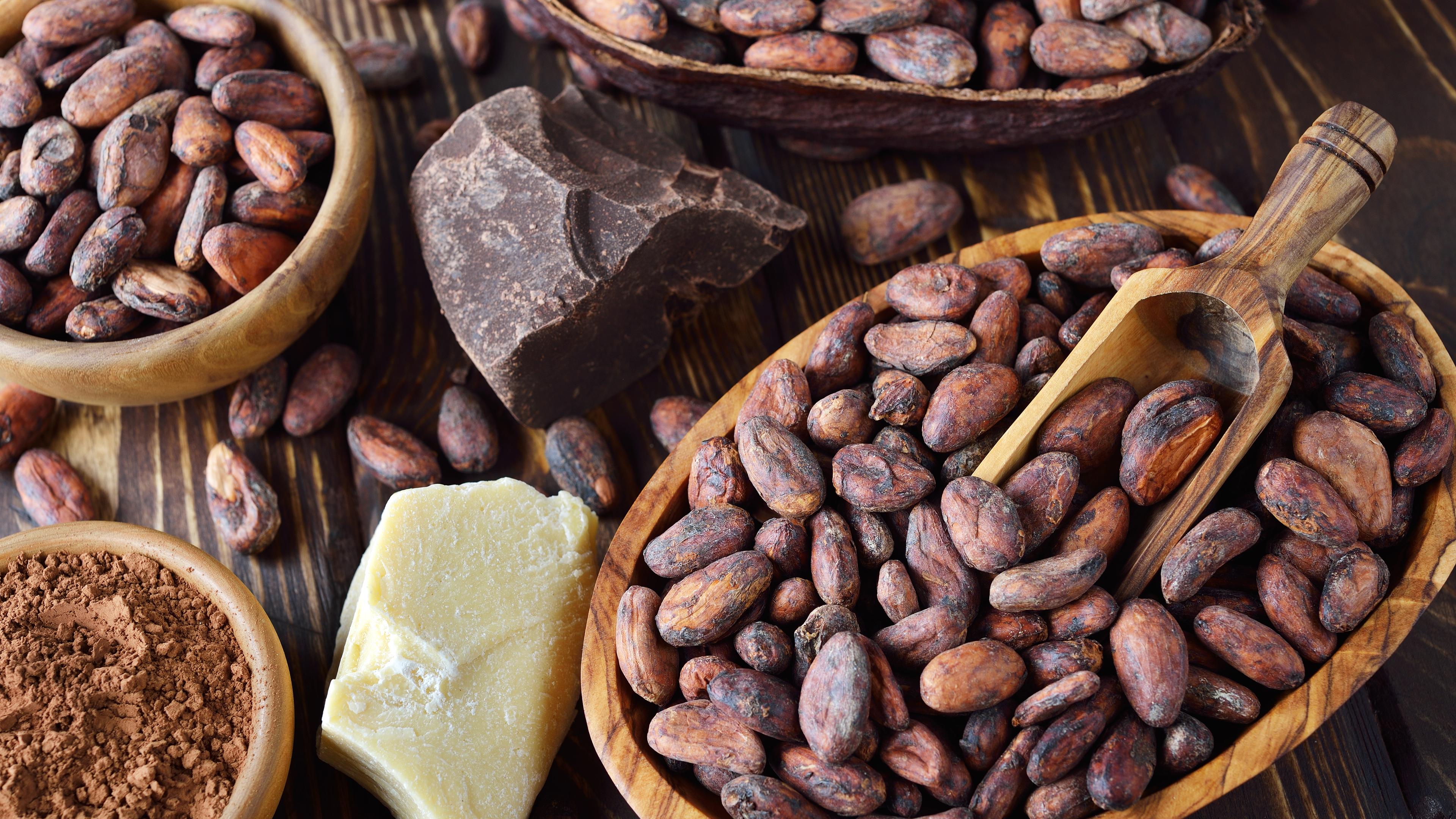 Natural organic cocoa products on a brown background