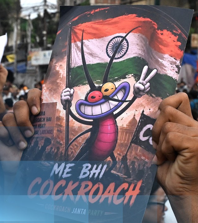 Die Kakerlaken-Proteste in Indien. Ein Demontrant hält ein Plakat in der Hand auf der eine grinsende Kakerlake eine indische Flagge hochhält.