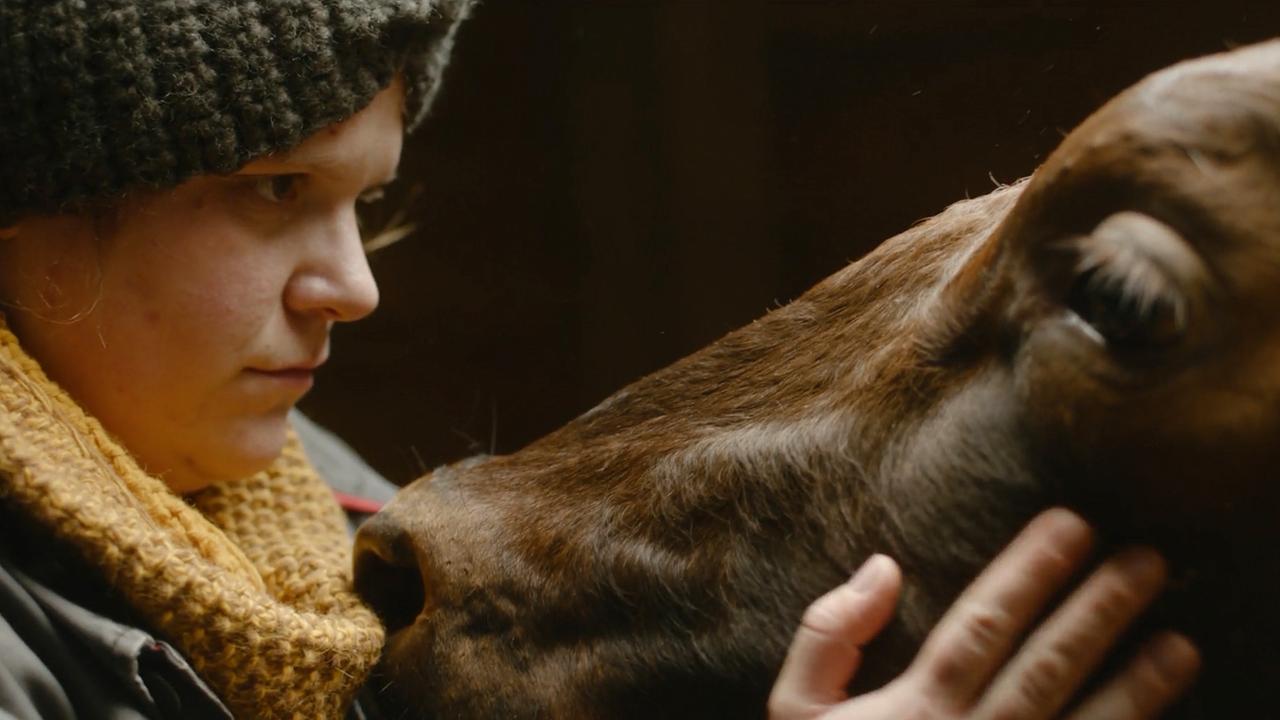 Franziska (Stefanie Reinsperger) mit zerzauster Frisur und warmer Jacke auf einer Wiese. Sie sieht nicht sehr glücklich aus. 
