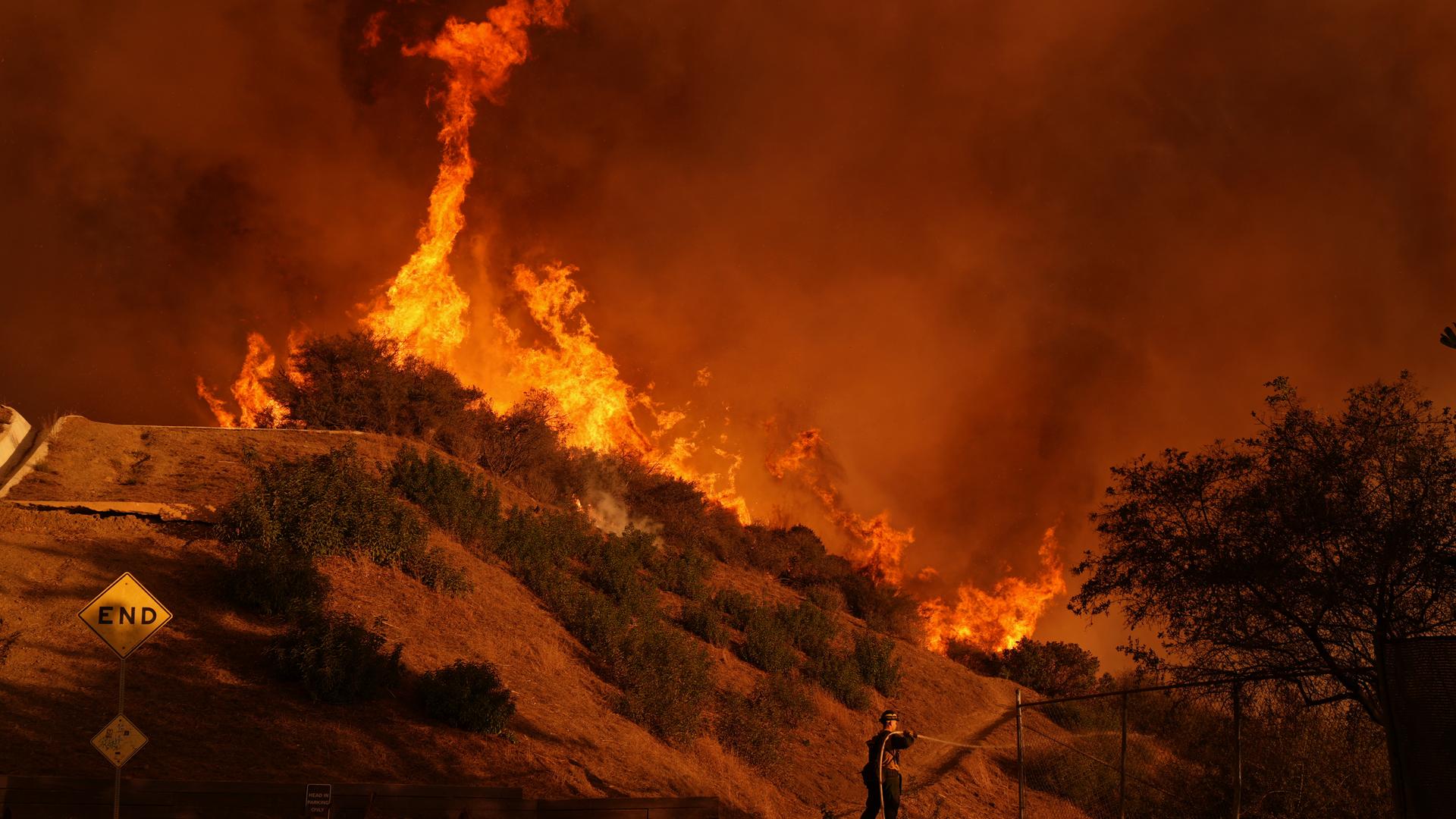  Los Angeles: Ein Feuerwehrmann bekämpft das Palisades-Feuer im Mandeville Canyon. 