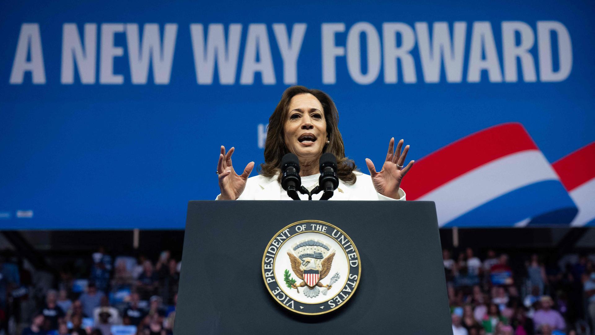 Demokratische Präsidentschaftskandidatin US-Vizepräsidentin Kamala Harris spricht bei einer Wahlkampfveranstaltung in der Enmarket Arena während einer zweitägigen Wahlkampfbustour in Savannah, Georgia, am 29. August 2024. 