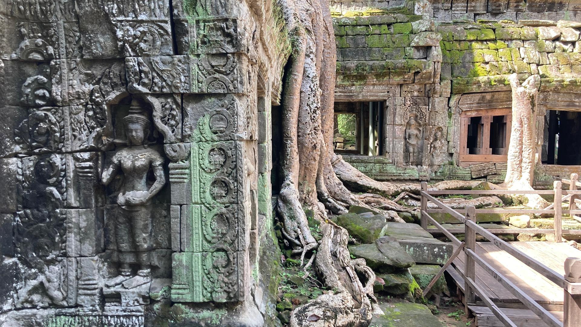 Der von Dschungel überwachsene Tempelkomplex Ta Prohm, der zu den Tempelanlagen von Angkor gehört.