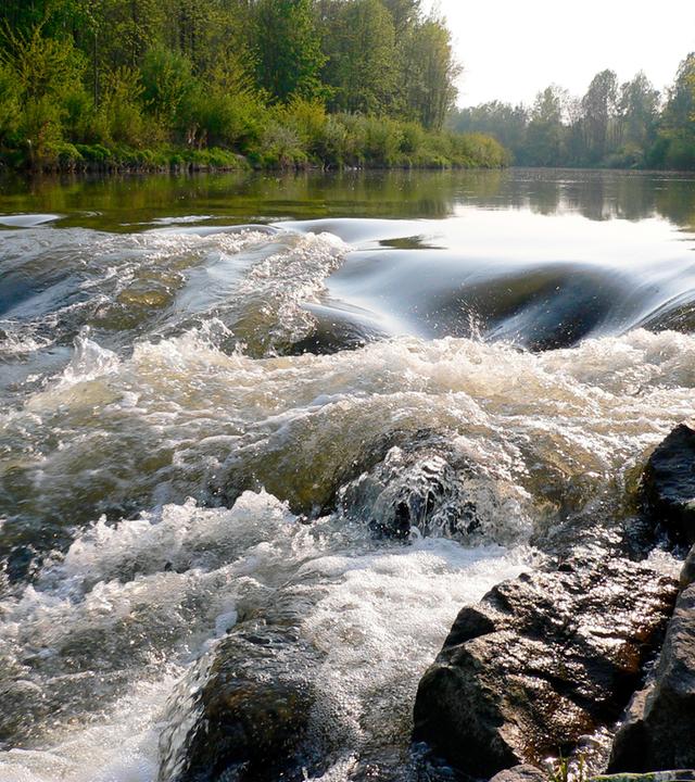 Fluss im Wandel der Jahreszeiten