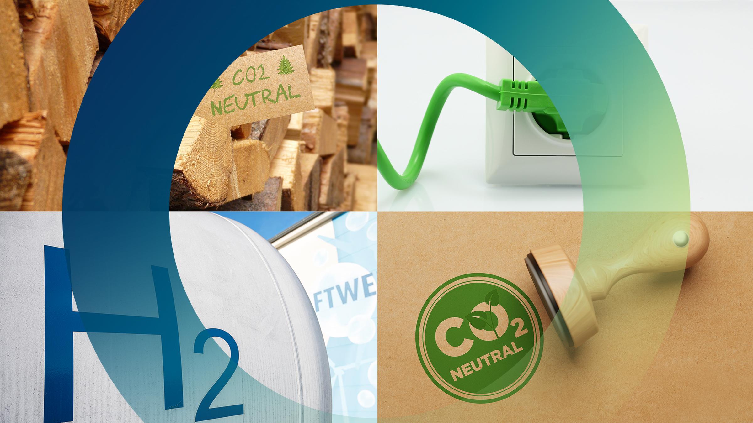 Wasserstoff, Ökostrom, Holz, nachhaltiger Konsum: Was hilft beim Kampf ums Klima?