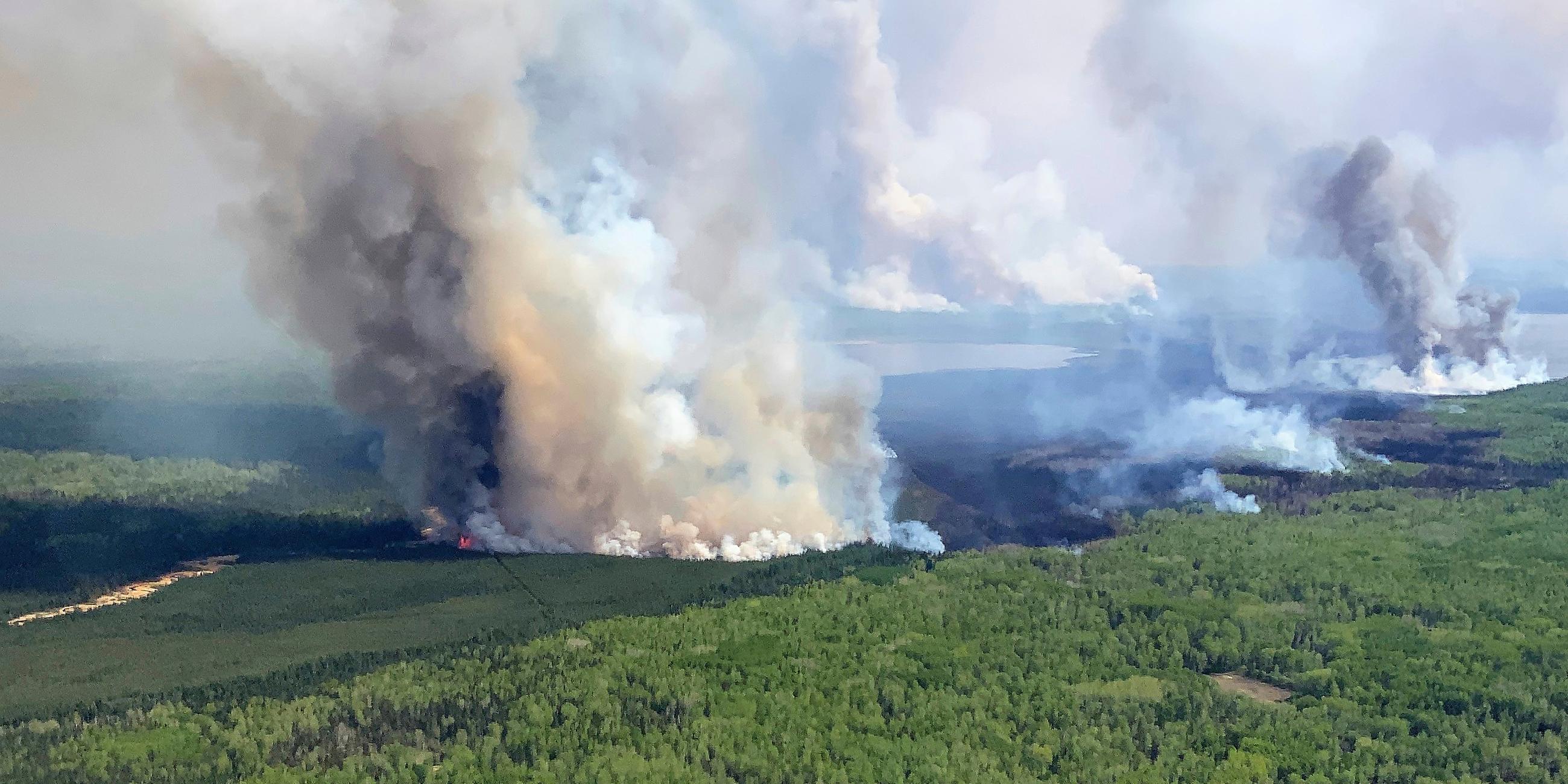 Dicke Rauchsäulen über dem kanadischen Wald