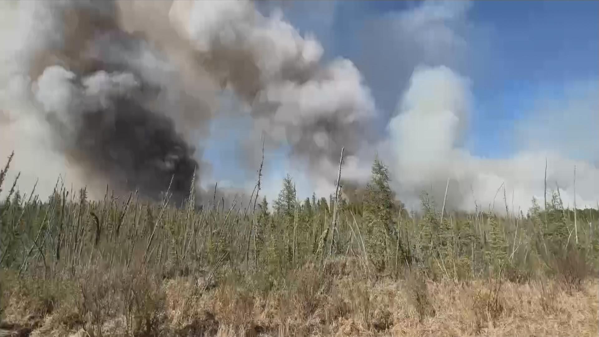 Kanada kämpft seit Wochen gegen Waldbrände