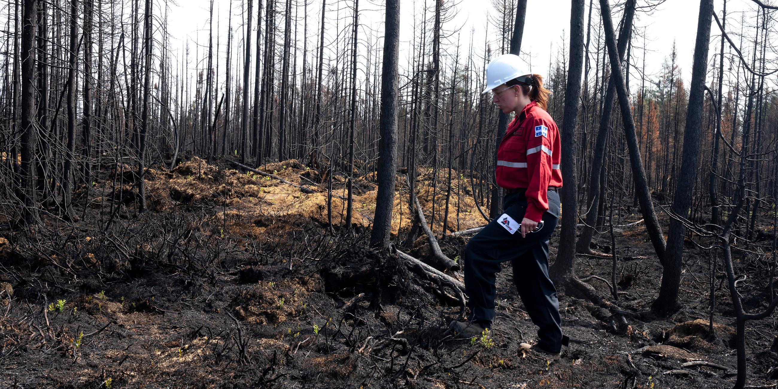 Feuerwehrfrau prüft auf Schwelbrände im Wald bei Lebel-sur-Quevillon, Kanada