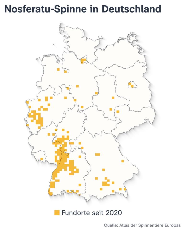Die Karte zeigt, wo die Nosferatu-Spinne in Deutschland gesichtet wurde: vor allem im Südwesten, aber auch in Berlin.