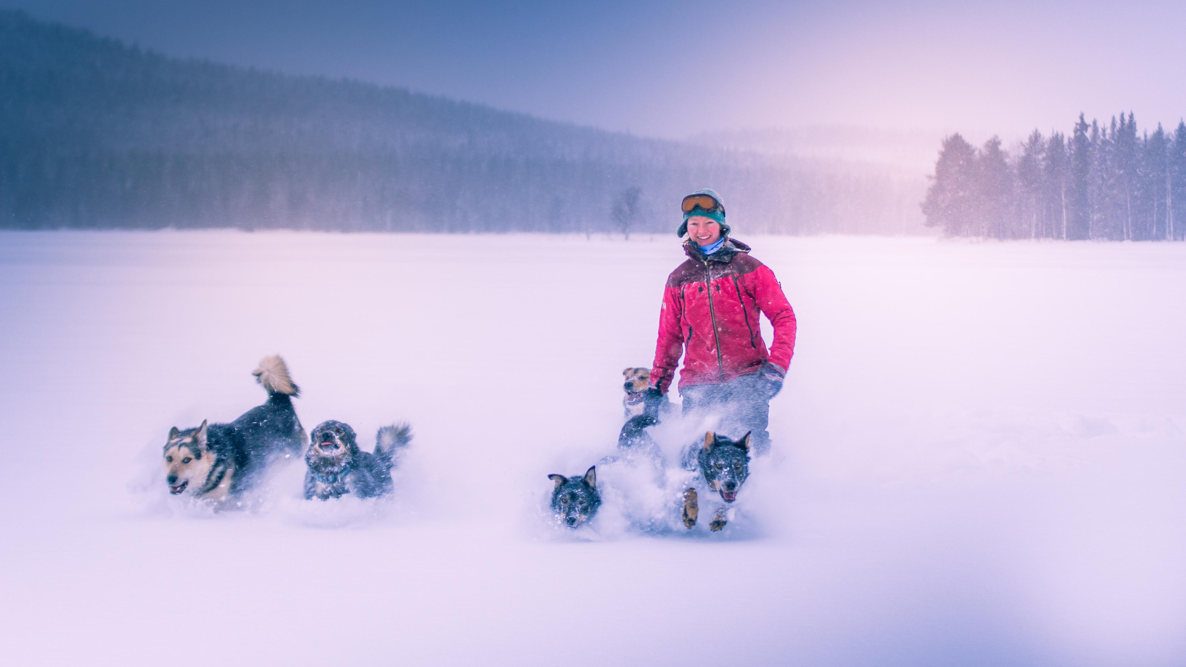 Die Auswanderin Katharina Koch-Hartke rennt lachend mit ihren fünf Hunden durch hohen Schnee. In der Ferne ist nur Wald zu sehen. 