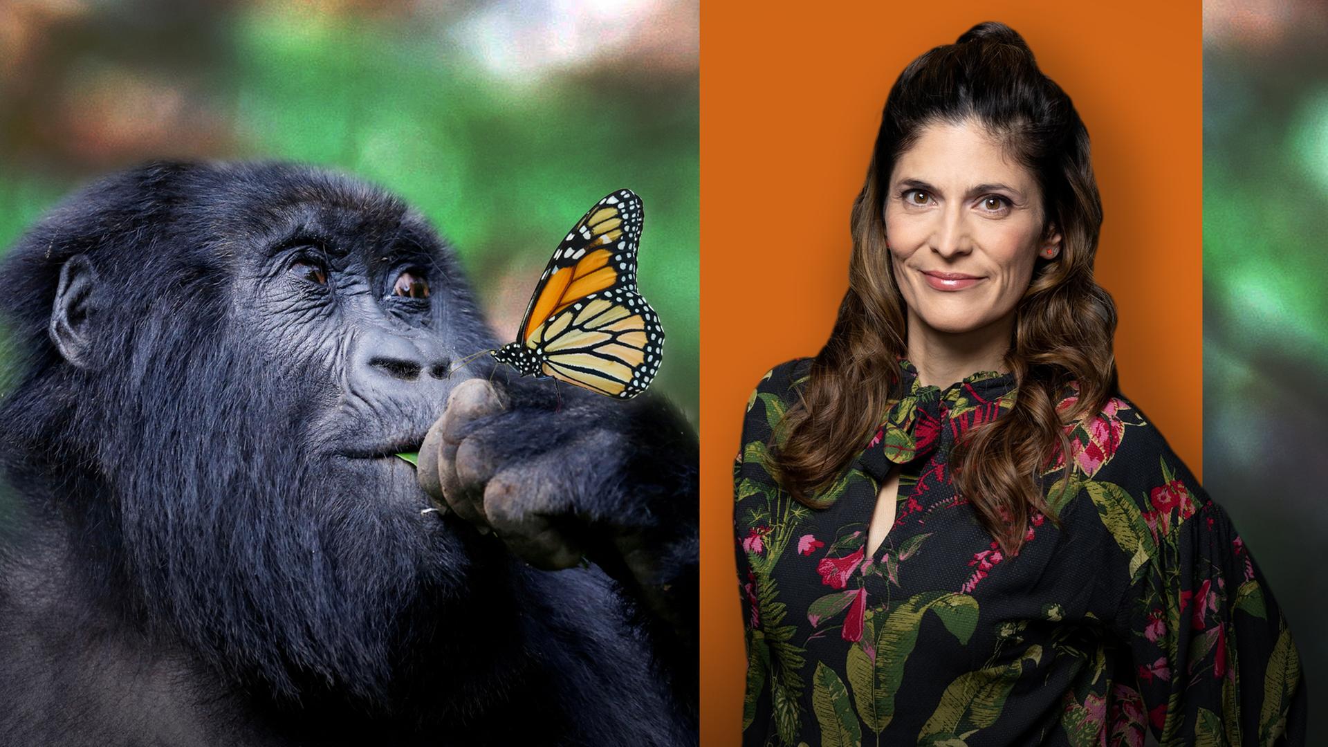 Katty Salié mit Gorilla und Schmetterling