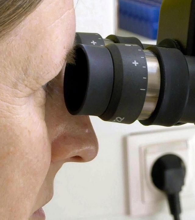 Eine Wissenschaftlerin beim Blick ins Mikroskop
