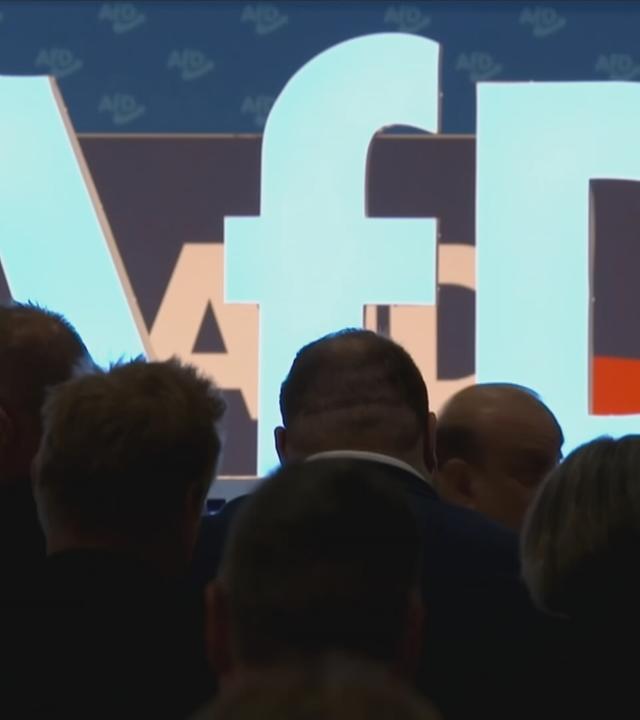 Europas Rechte und die AFD