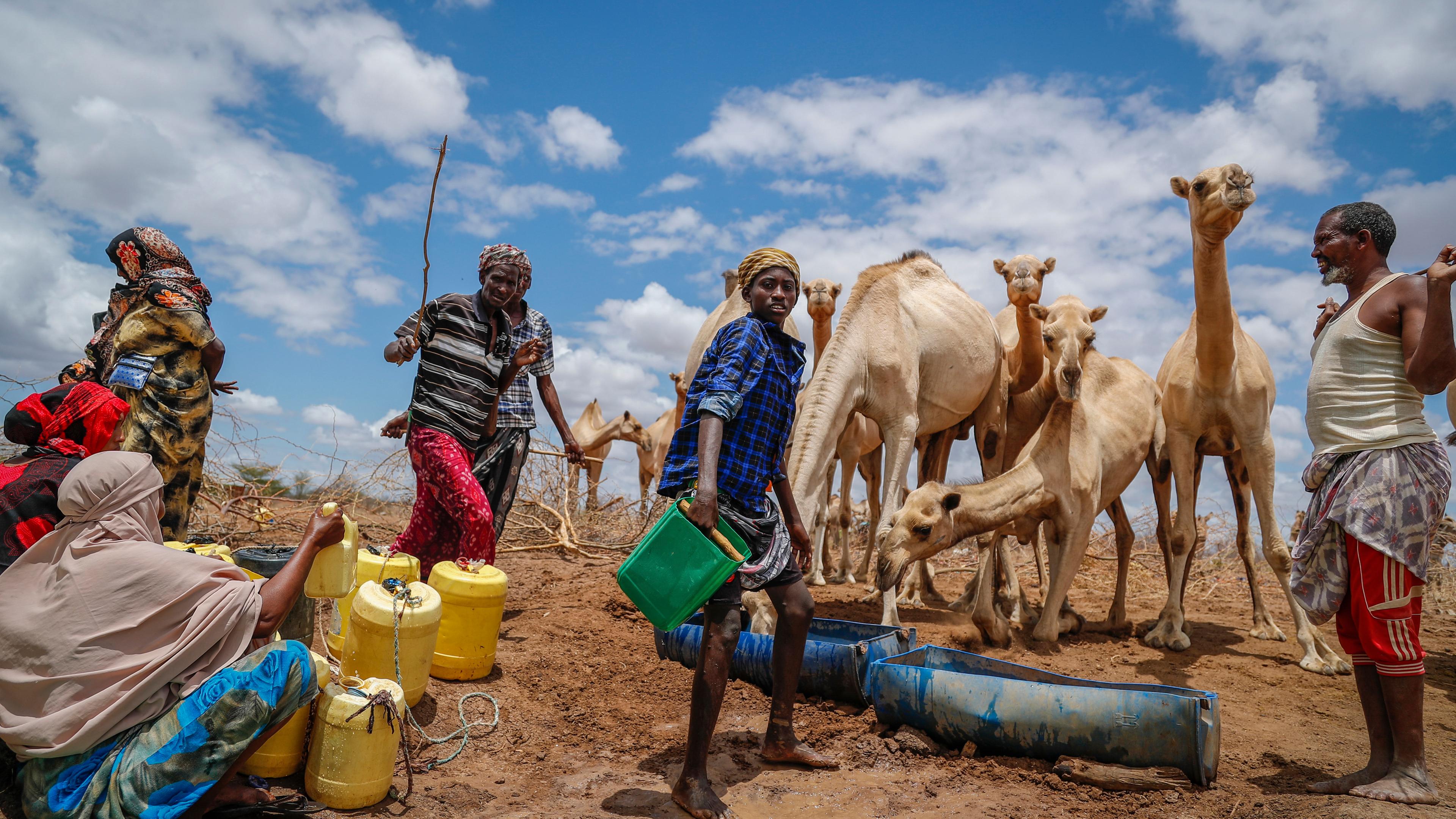 Hirten versorgen ihre Kamele mit Wasser aus einem Bohrloch in der Nähe von Kuruti.