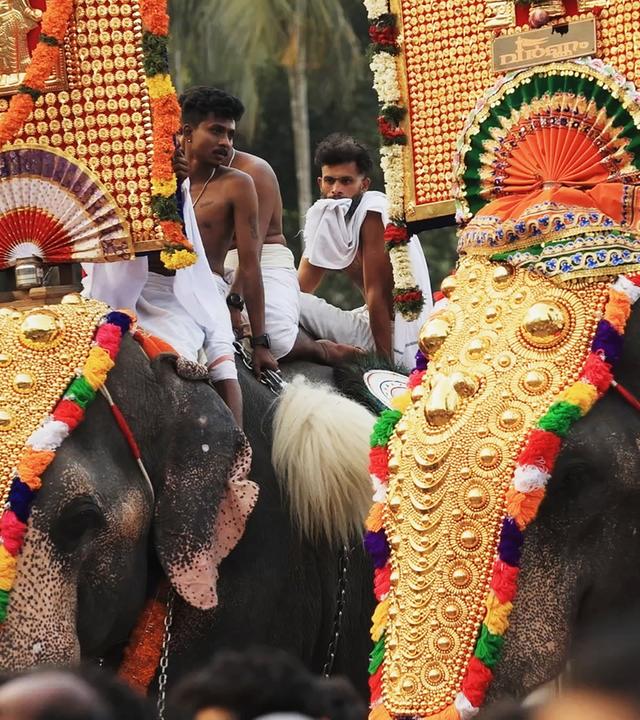 Farbenfrohe Elefantenparade: Das Thrissur Puram-Fest steht ganz im Zeichen der Dickhäuter.
