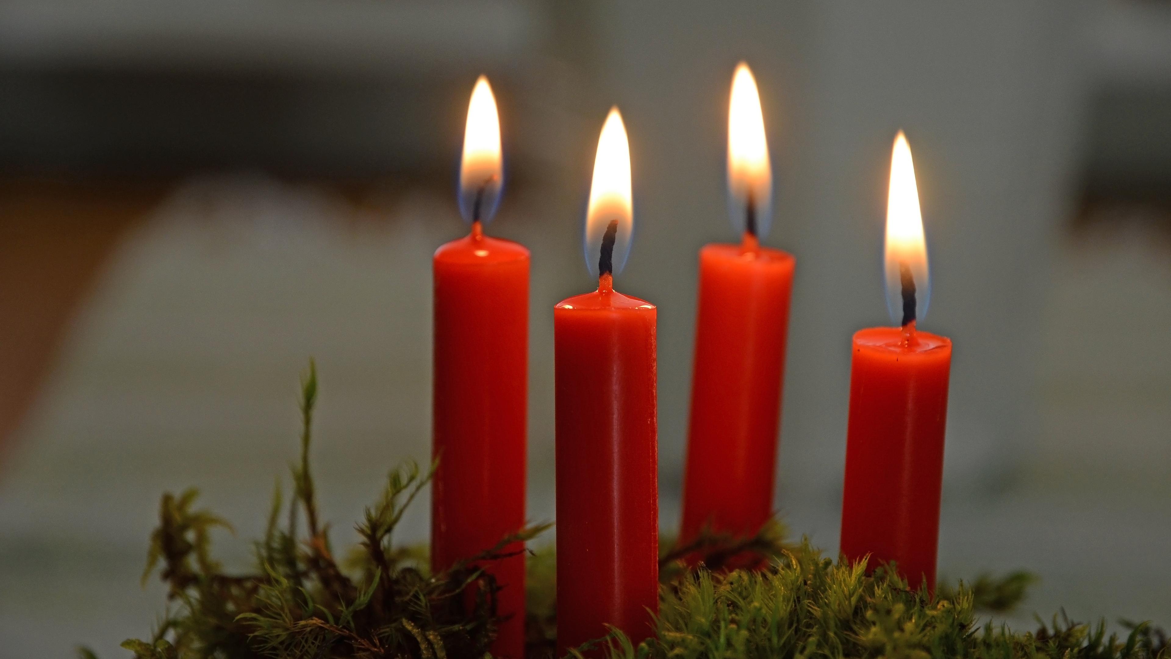 Vier rote Kerzen brennen auf einem Adventskranz.