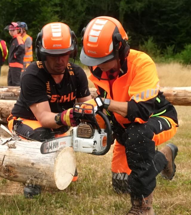 Zwei Teilnehmer sägen an einem Baum bei einem Workshop für den Kettensägenführerschein.
