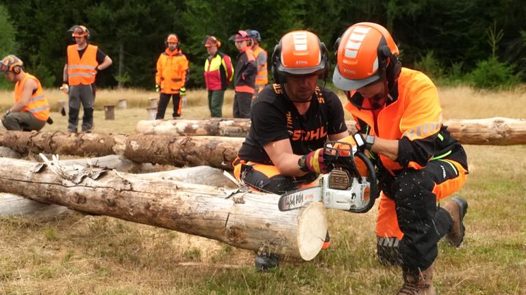 Zwei Teilnehmer sägen an einem Baum bei einem Workshop für den Kettensägenführerschein.