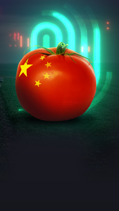 Eine rote Tomate mit gelben Sternen und im Hintergrund Zwangsarbeiter und das "Die Spur" Logo