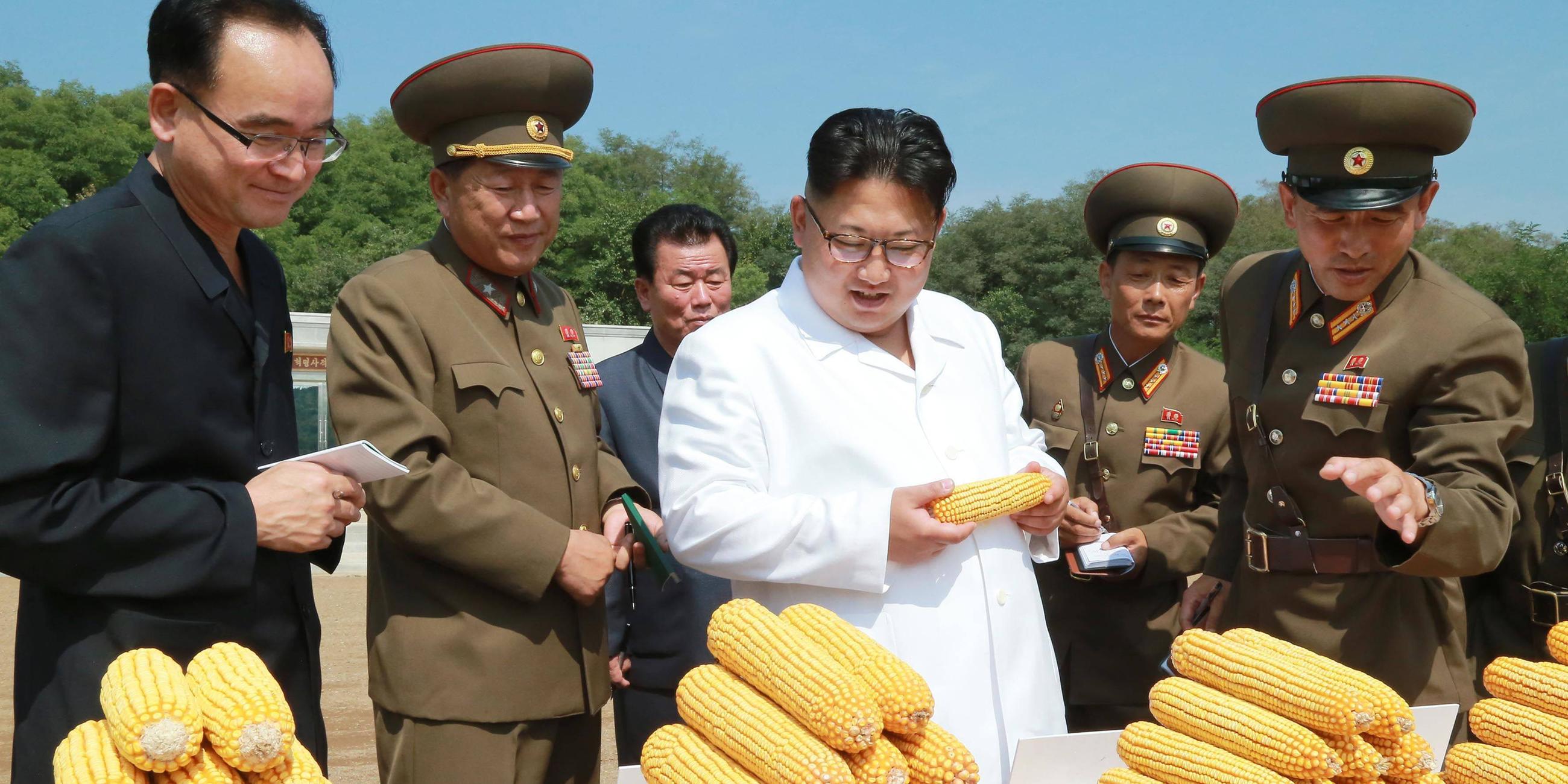 Kim Jong-un beim Besuch einer Farm - 2016
